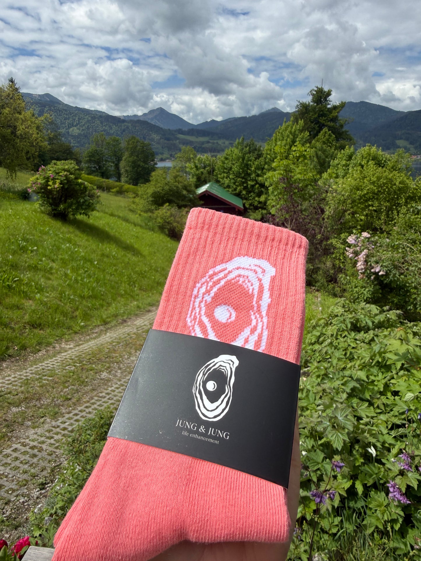 Oyster Socks - UNISEX